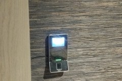 IMG_20250206_120719